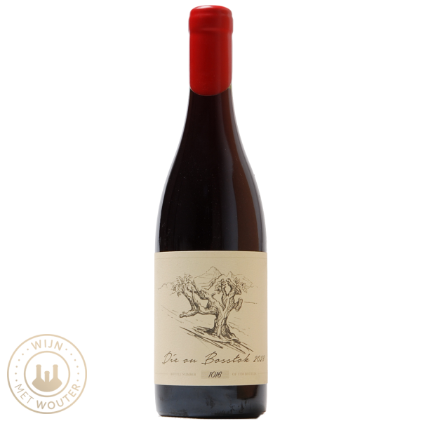 Die Ou Bosstok Cinsault Anthonij Rupert